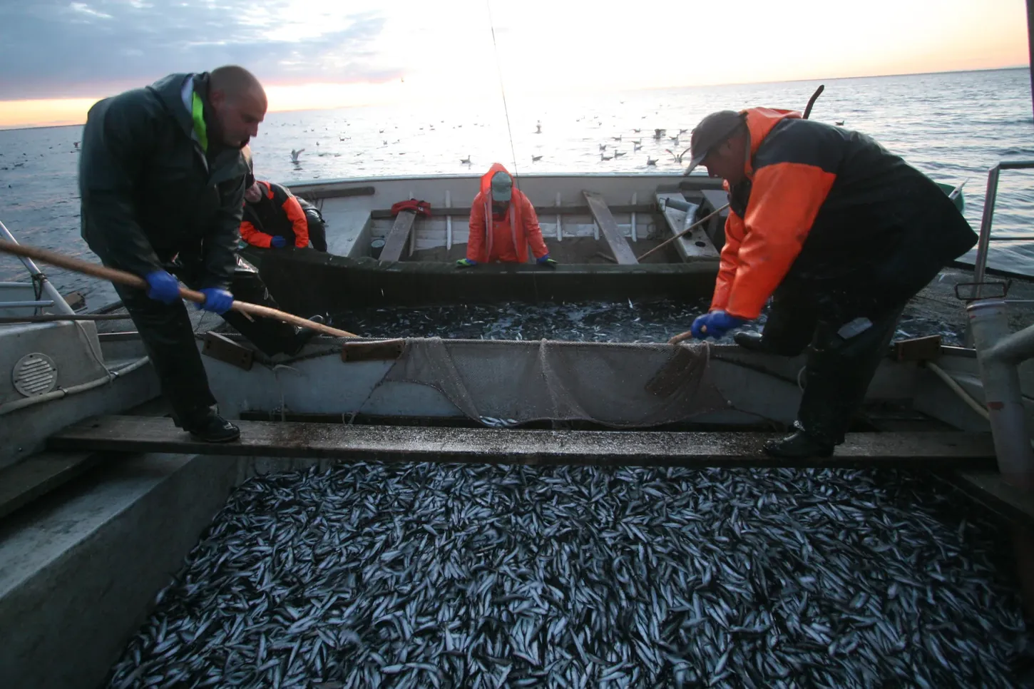 KAJAX fishing operations