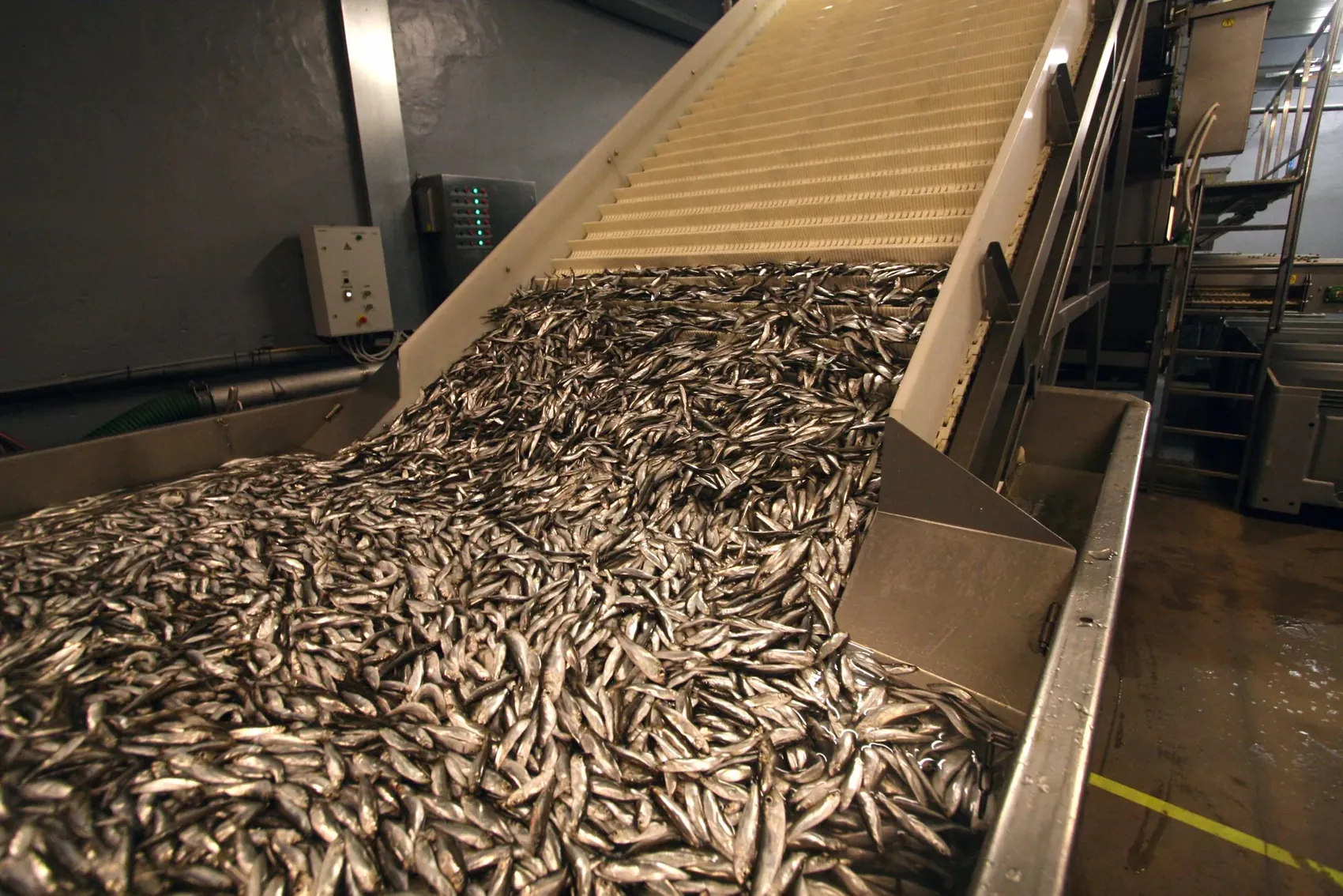 KAJAX processing line